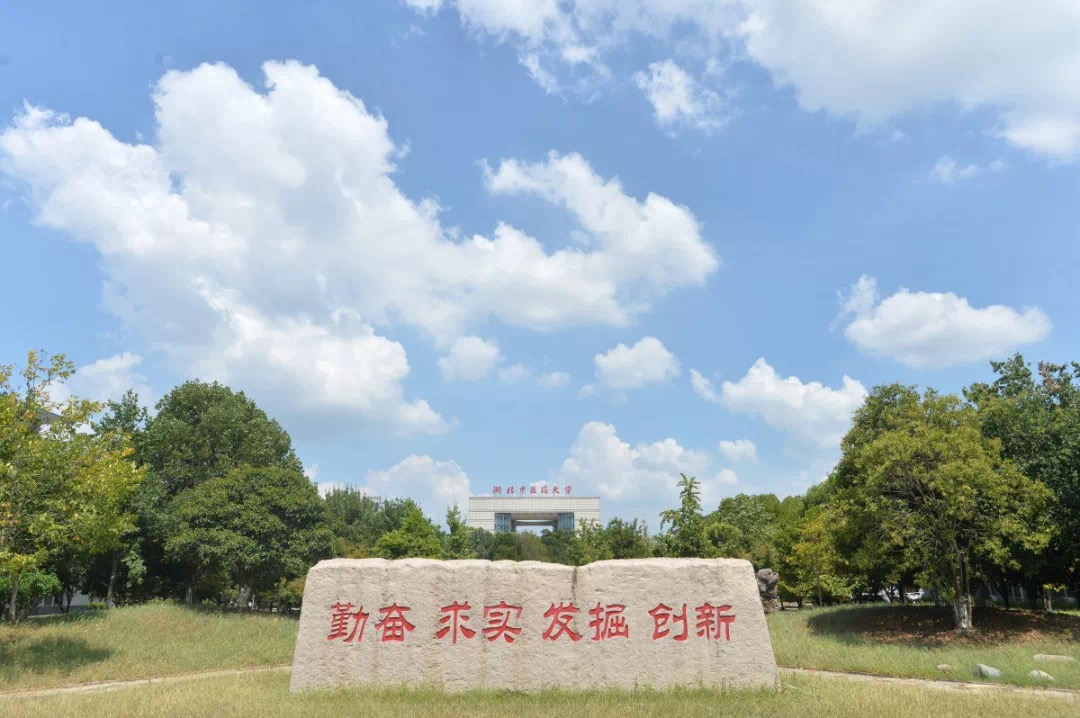 2026年湖北中医药大学同等学力申硕招生简章插图